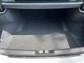 Black Trunk Photo for 2023 Dodge Charger #146034544