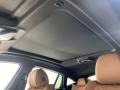 2023 BMW X6 Cognac Interior Sunroof Photo