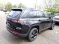 Diamond Black Crystal Pearl - Grand Cherokee Altitude 4x4 Photo No. 5