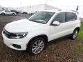 2014 Candy White Volkswagen Tiguan SEL 4Motion  photo #4