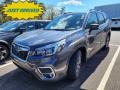 Magnetite Gray Metallic - Forester 2.5i Limited Photo No. 1