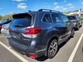 Magnetite Gray Metallic - Forester 2.5i Limited Photo No. 3