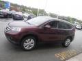 2014 Basque Red Pearl II Honda CR-V EX AWD  photo #7