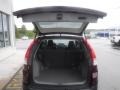 2014 Basque Red Pearl II Honda CR-V EX AWD  photo #23