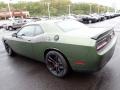 F8 Green - Challenger R/T Plus Photo No. 3