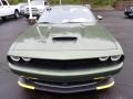 F8 Green - Challenger R/T Plus Photo No. 9