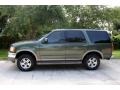 2001 Estate Green Metallic Ford Expedition Eddie Bauer 4x4  photo #4