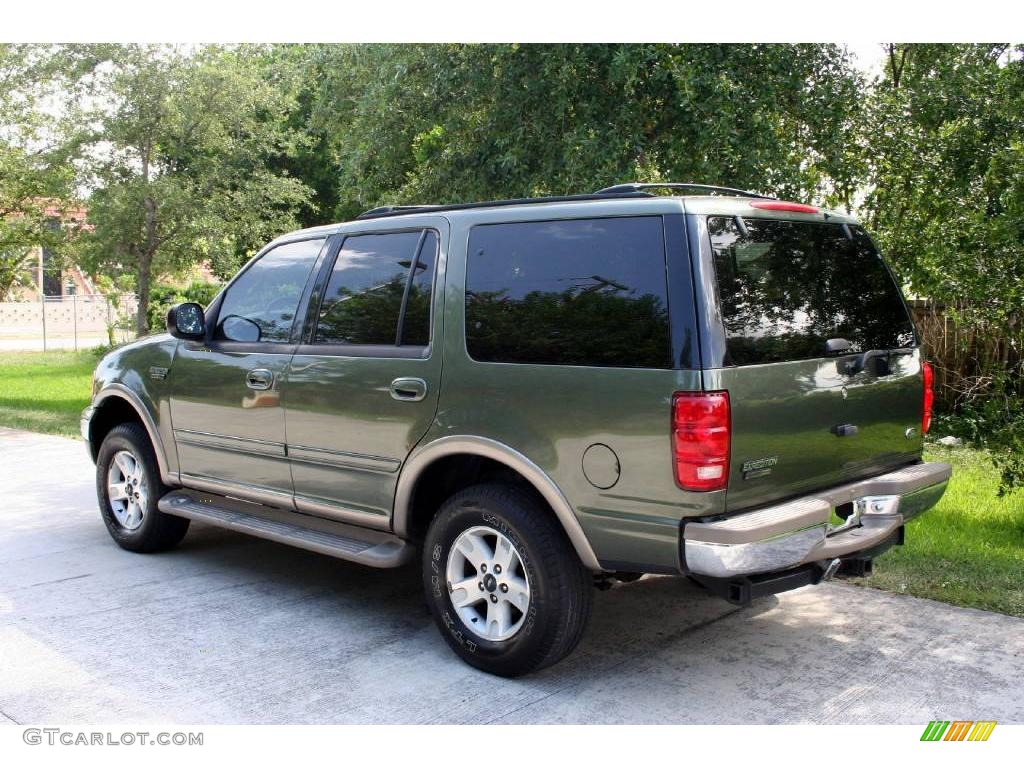 2001 Expedition Eddie Bauer 4x4 - Estate Green Metallic / Medium Parchment photo #7