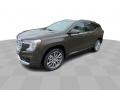Deep Bronze Metallic - Terrain Denali AWD Photo No. 4