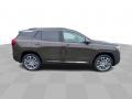 Deep Bronze Metallic - Terrain Denali AWD Photo No. 9