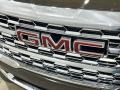 Deep Bronze Metallic - Terrain Denali AWD Photo No. 31