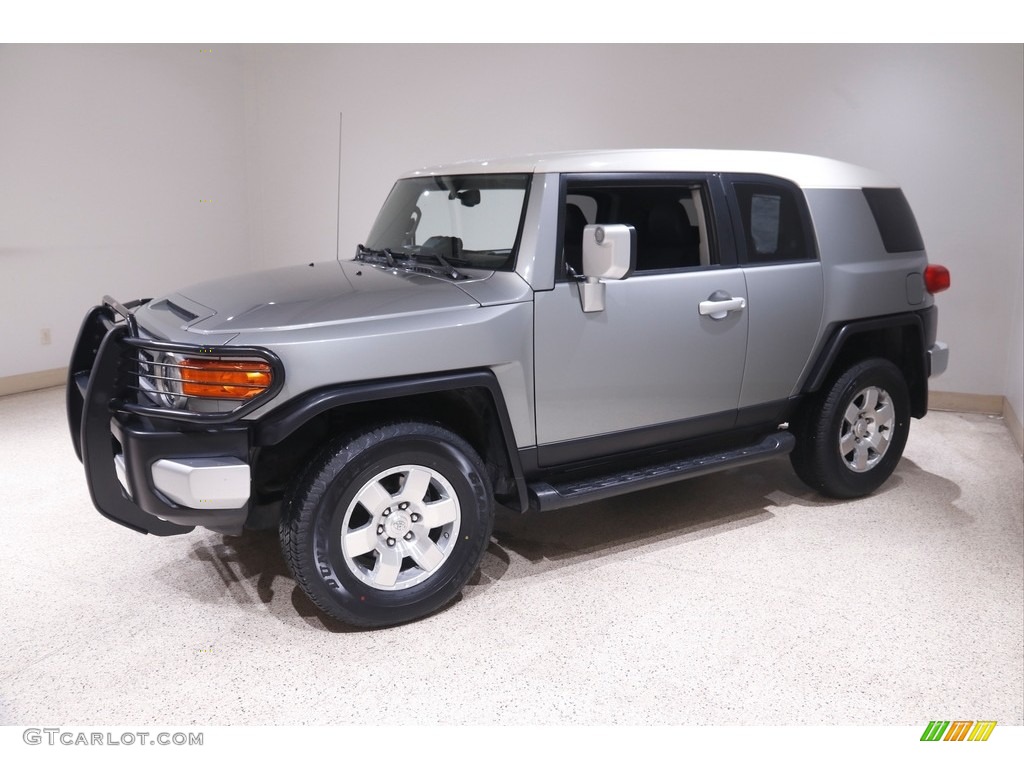 2010 FJ Cruiser 4WD - Silver Fresco Metallic / Dark Charcoal photo #3