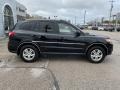 Phantom Black Metallic - Santa Fe GLS Photo No. 10