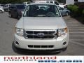 2009 Light Sage Metallic Ford Escape XLT V6 4WD  photo #15