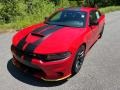 Torred - Charger Scat Pack Plus Photo No. 2
