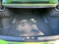 Black Trunk Photo for 2023 Dodge Charger #146067742