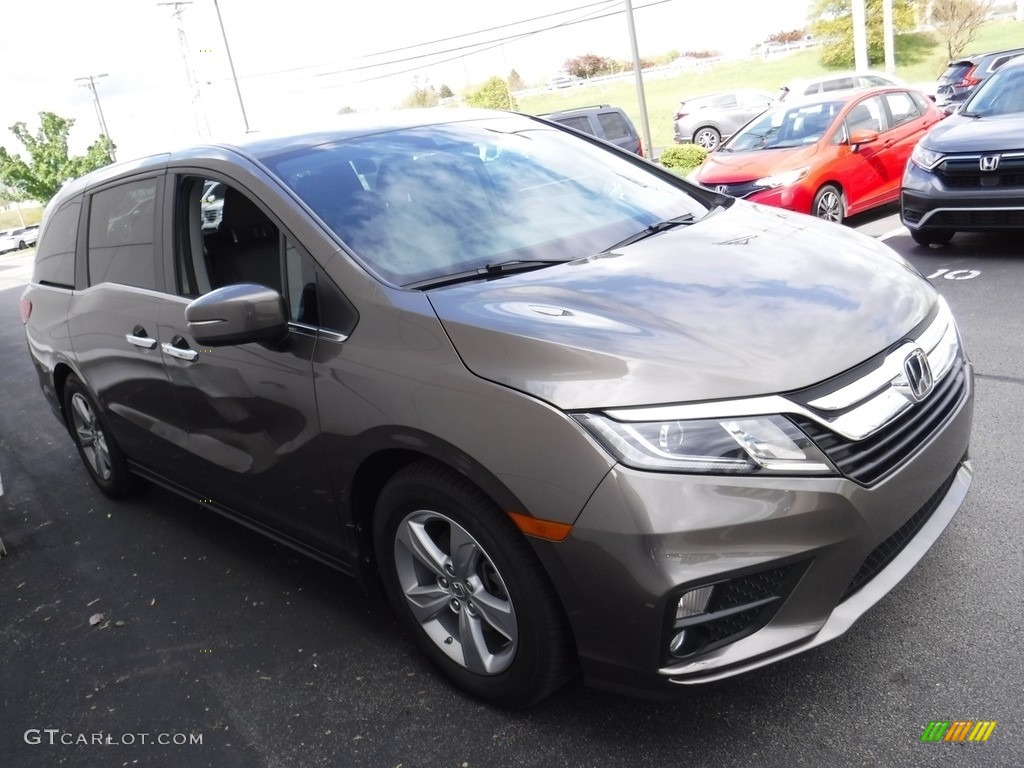 2019 Odyssey EX-L - Pacific Pewter Metallic / Mocha photo #6