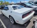White Knuckle - Challenger R/T Photo No. 6