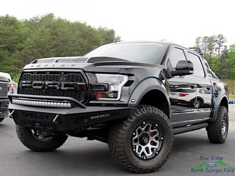 2020 Ford F150 Shelby Baja Raptor SuperCrew 4x4 Data, Info and Specs