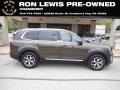 2020 Dark Moss Kia Telluride EX AWD #146084757