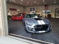 Brittany Blue Metallic - Mustang Shelby GT500 Heritage Edition Photo No. 8