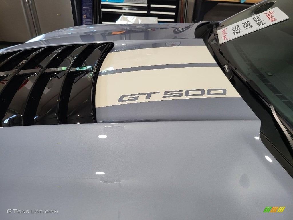 2022 Ford Mustang Shelby GT500 Heritage Edition Marks and Logos Photo #146090038