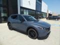 Polymetal Gray - CX-5 S Carbon Edition AWD Photo No. 1