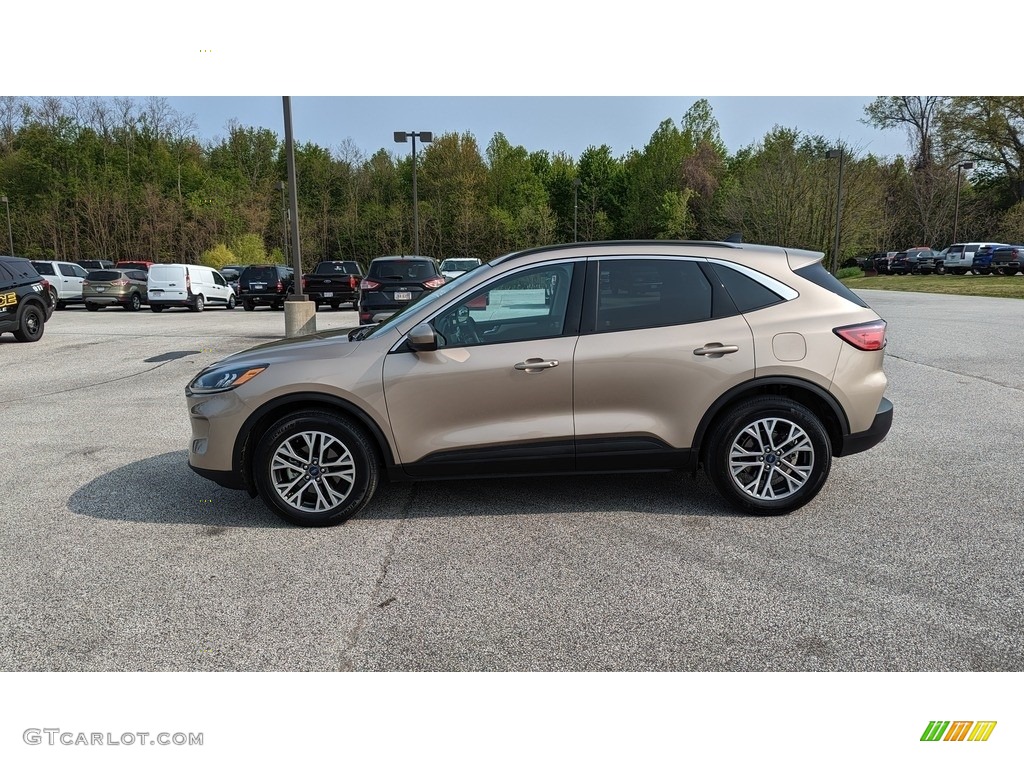 2020 Escape SEL 4WD - Desert Gold Metallic / Sandstone photo #2