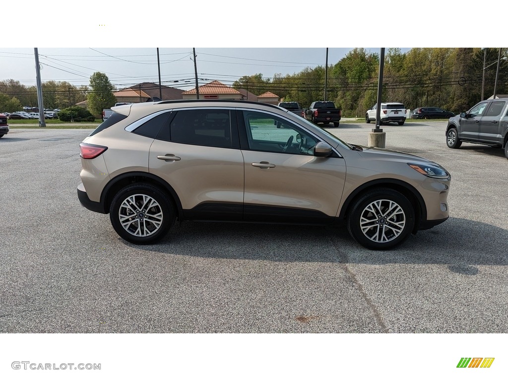 2020 Escape SEL 4WD - Desert Gold Metallic / Sandstone photo #6