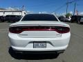 White Knuckle - Charger SXT Plus Photo No. 5