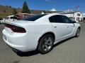 2018 White Knuckle Dodge Charger SXT Plus  photo #6