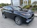 2023 Midnight Black Metallic Toyota Highlander Platinum AWD  photo #6