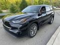 2023 Midnight Black Metallic Toyota Highlander Platinum AWD  photo #8