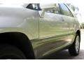 Millennium Silver Metallic - RX 300 Photo No. 20