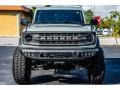 Cactus Gray - Bronco Black Diamond 4x4 4-Door Photo No. 11