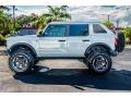 Cactus Gray - Bronco Black Diamond 4x4 4-Door Photo No. 13