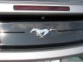 Iconic Silver Metallic - Mustang EcoBoost Premium Convertible Photo No. 32
