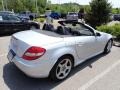 Iridium Silver Metallic - SLK 350 Roadster Photo No. 4