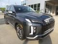 2023 Steel Graphite Hyundai Palisade SEL AWD  photo #9