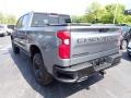 2020 Satin Steel Metallic Chevrolet Silverado 1500 LT Trail Boss Crew Cab 4x4  photo #4