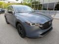 Polymetal Gray - CX-5 S Carbon Edition AWD Photo No. 9
