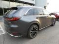 Platinum Quartz Metallic - CX-90 Turbo S AWD Photo No. 2