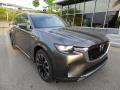 Platinum Quartz Metallic - CX-90 Turbo S AWD Photo No. 9