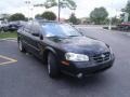 Super Black - Maxima SE Photo No. 6