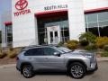 Silver Sky Metallic - RAV4 XLE Premium AWD Photo No. 2