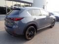 Polymetal Gray - CX-5 S Carbon Edition AWD Photo No. 2