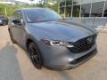 Polymetal Gray - CX-5 S Carbon Edition AWD Photo No. 9