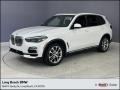 2020 Mineral White Metallic BMW X5 xDrive40i #146141195