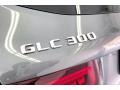2021 Selenite Gray Metallic Mercedes-Benz GLC 300 4Matic  photo #30