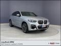 Glacier Silver Metallic 2020 BMW X4 M40i